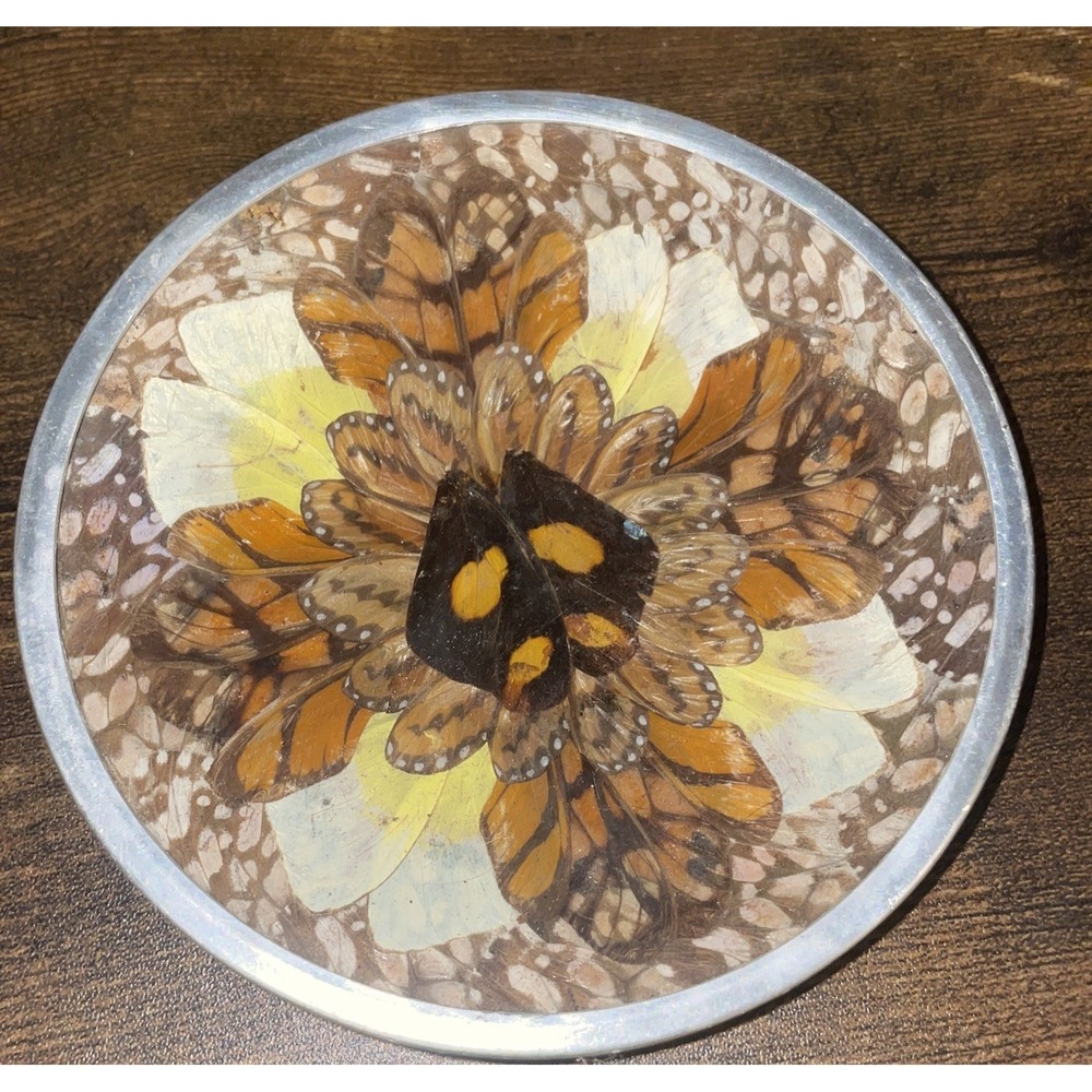 Vintage Butterfly Wing Art Trinket Dish Made In Brazil Wall Art Brown Orange